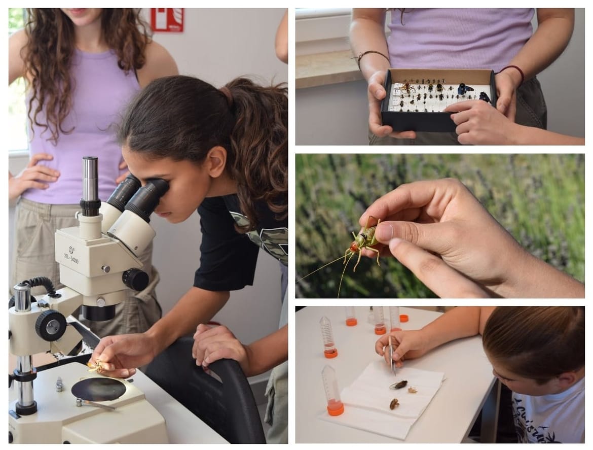 Bioraznolikost u fokusu mladih čuvara prirode u NP Krka