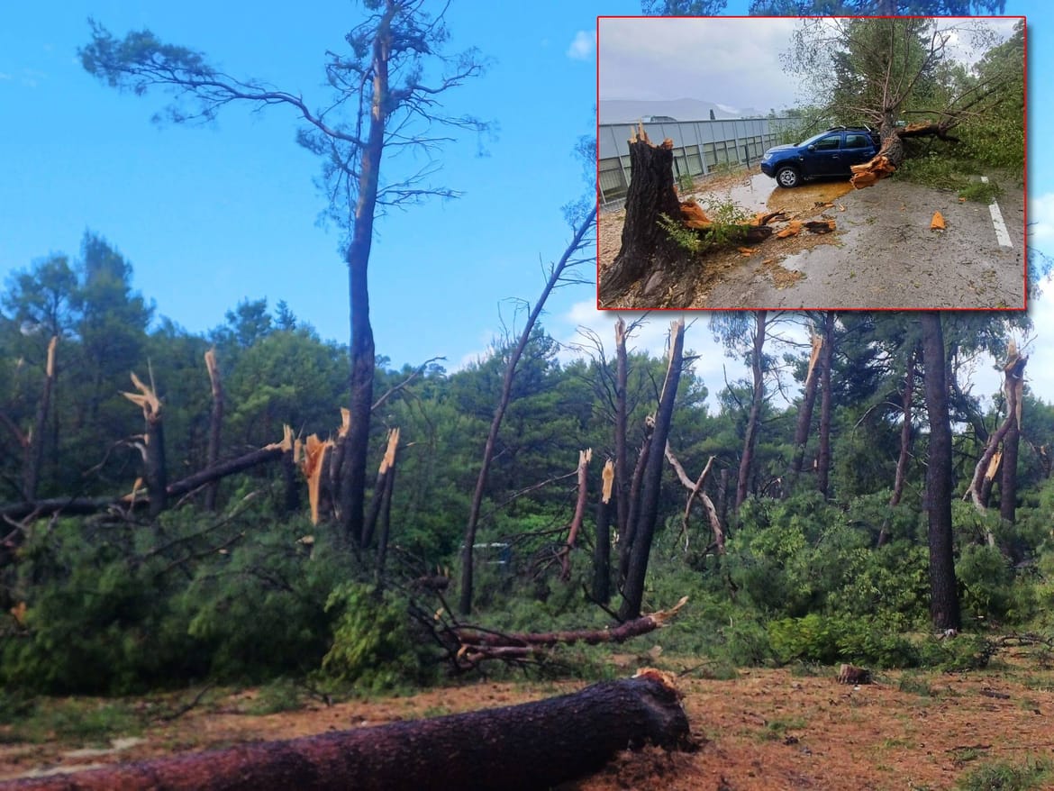 JEZIVE POSLJEDICE Nevrijeme presjeklo stabla kao šibice: "Ima ozlijeđenih, Splićani, ne idite na Marjan!"