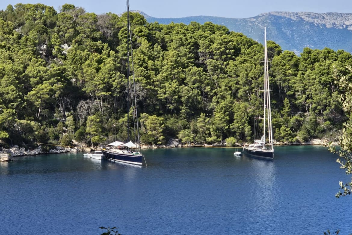 Oni se unatoč svim zabranama bez srama vezuju za stablo u NP Mljet!