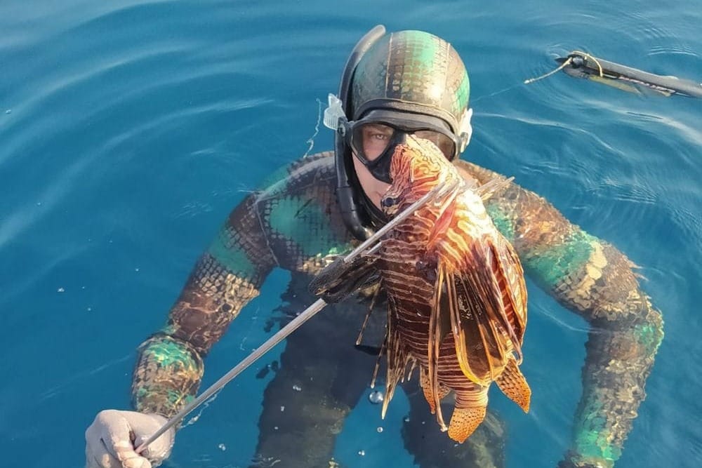 Zaštita morskih predatora rješenje je za invazivne vrste