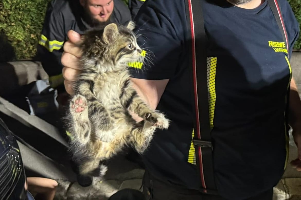 "SUVENIR S MORA" Obitelj se vraćala s odmora u Hrvatskoj, a onda je u motoru automobila čula vrlo neobičan zvuk...