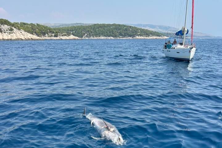NOVI MRTVI DUPIN Ovoga puta pronađen kod Splitskih vrata