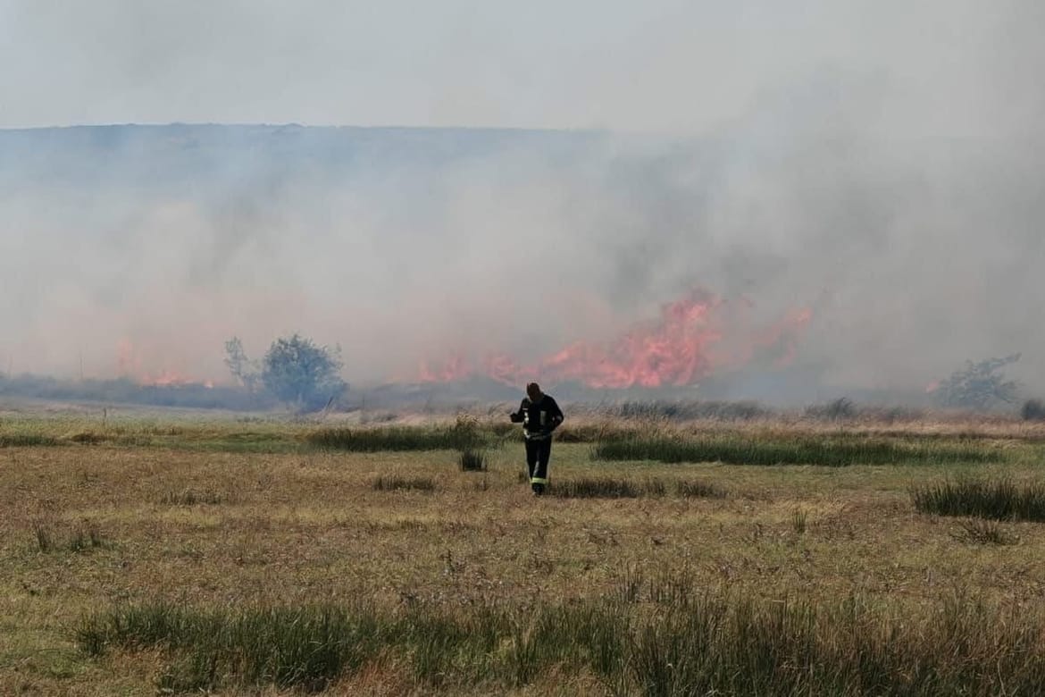 Veliki požar kod Neuma ugasila - kiša!