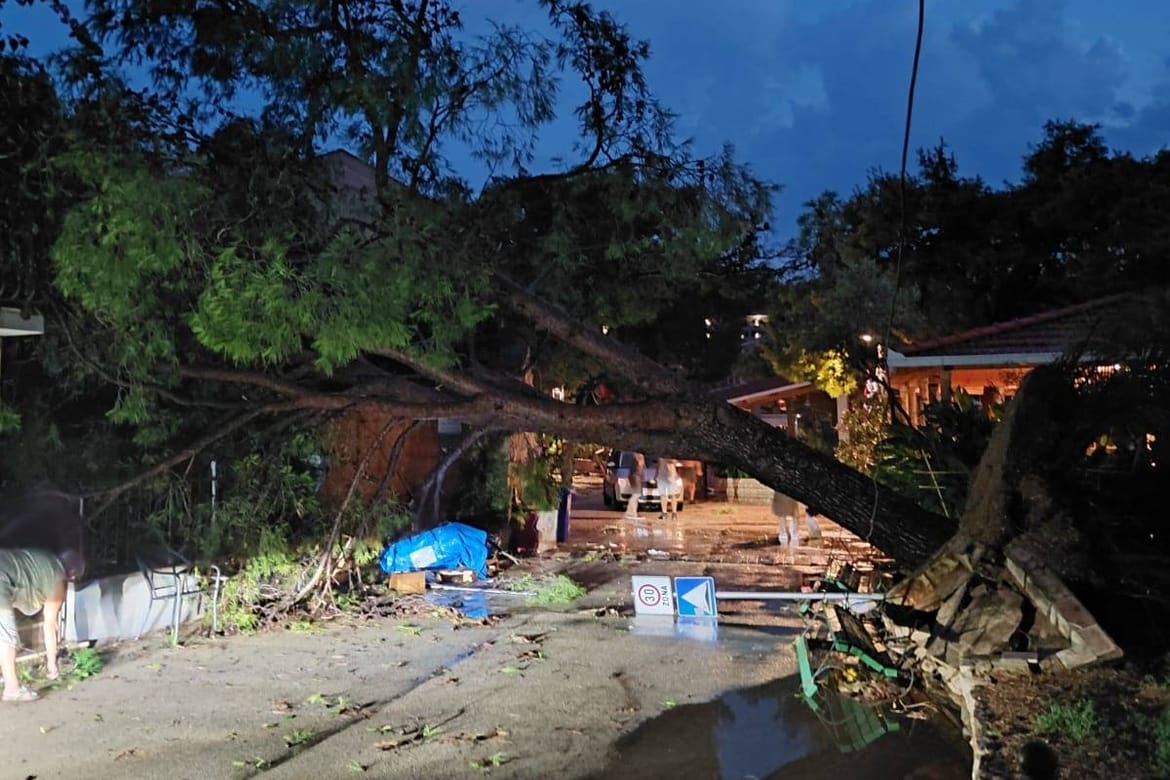 PELJEŠAC Nevrijeme pogodilo i Lovište: "Zbog srušenih stabala intervenirali vatrogasci!"