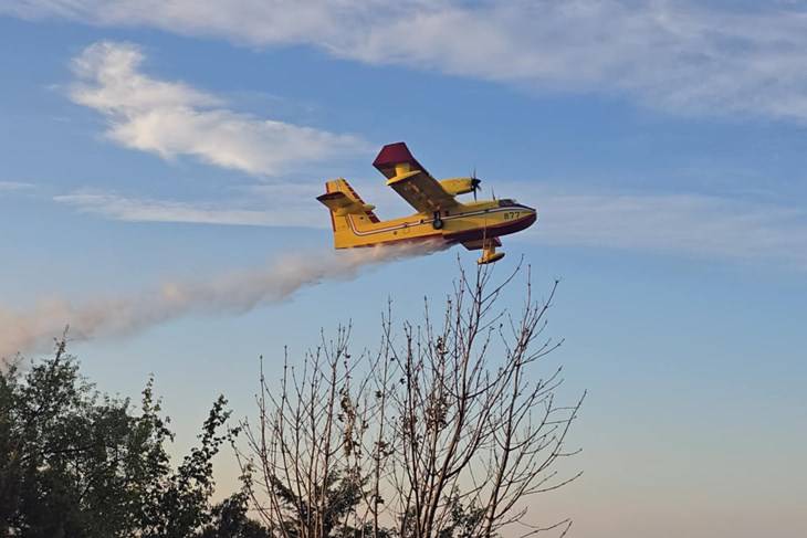 Dva požara otvorenog prostora u Istri: "Veliki požar kod Žminja gasi 40 vatrogasaca!"