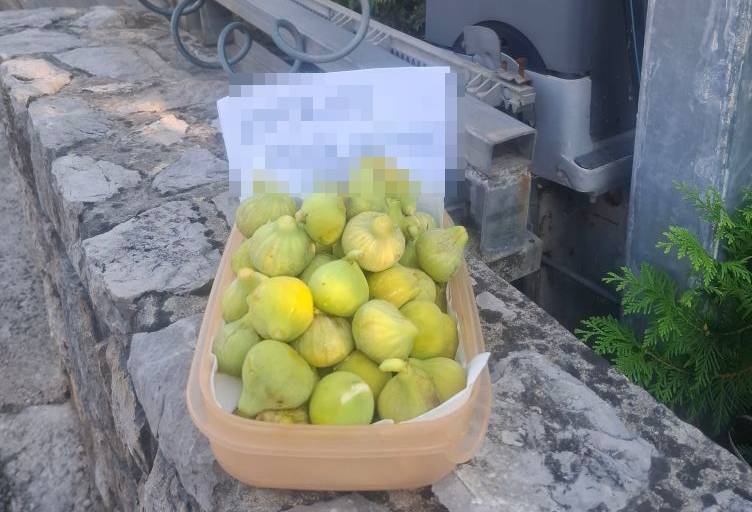 FOTO Lijepa gesta s otoka Krka koja je raznježila internet