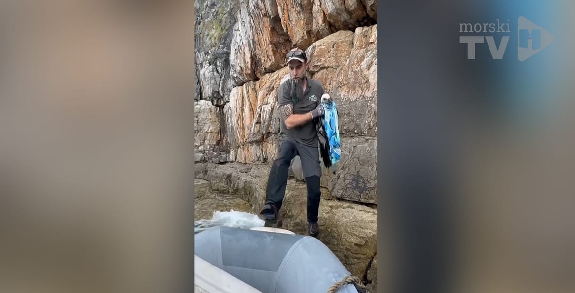 Kraj Cresa spašen još jedan bjeloglavi sup koji je pao u more