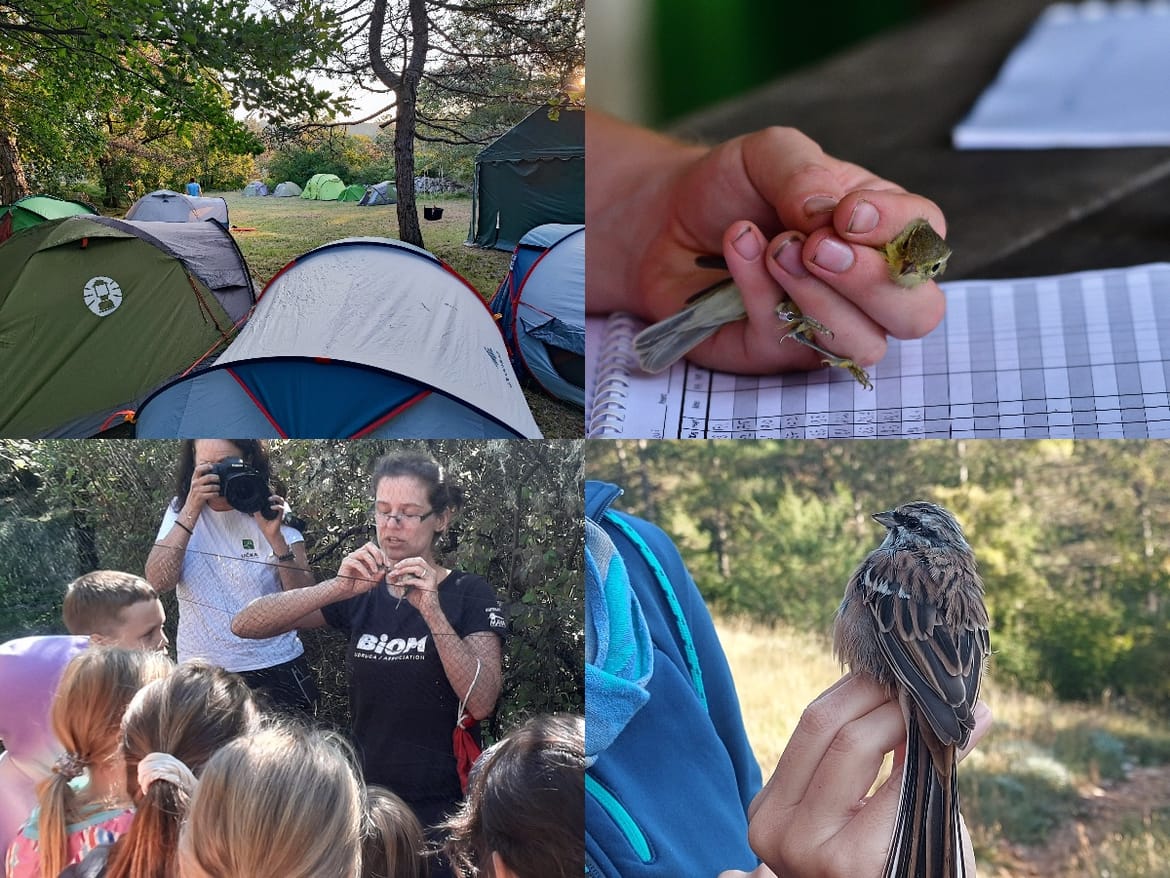 Otvoreni dani Ornitološkog kampa Učka 2025.