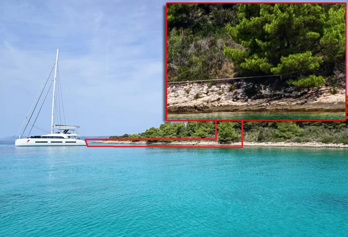 VIDEO Za što ćete se vezati kad počupate i posljednje stablo na obalnom pojasu?