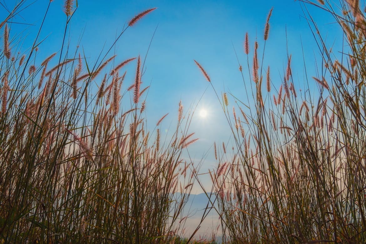 Prošli mjesec bio je treći najtopliji srpanj na Zemlji od početka mjerenja