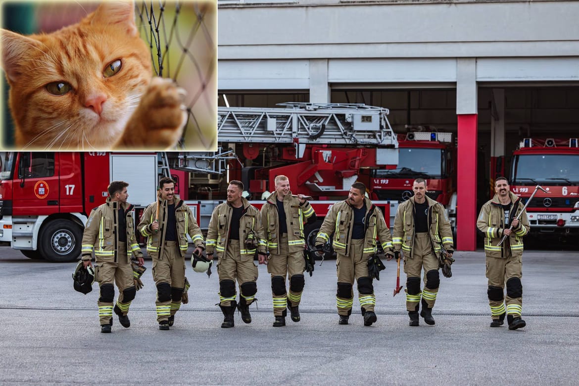 Splitski vatrogasci iz motora automobila spašavali - mačku!