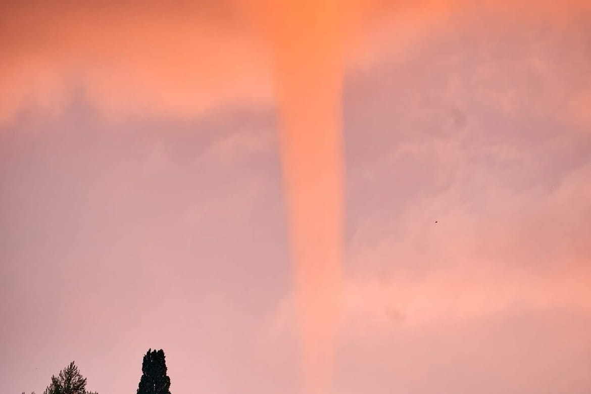 Fotogenična pijavica u Dubrovniku