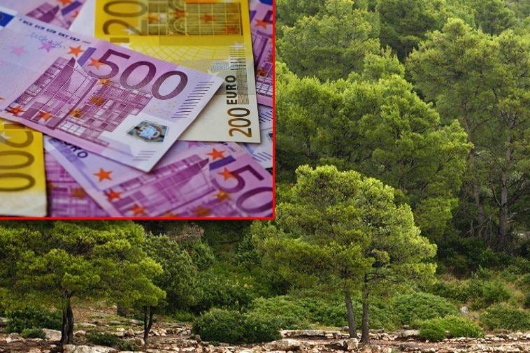 Šef iz Hrvatskih šuma slomio se u USKOK-u: "Priznajem, uzeo sam 20 tisuća eura mita"