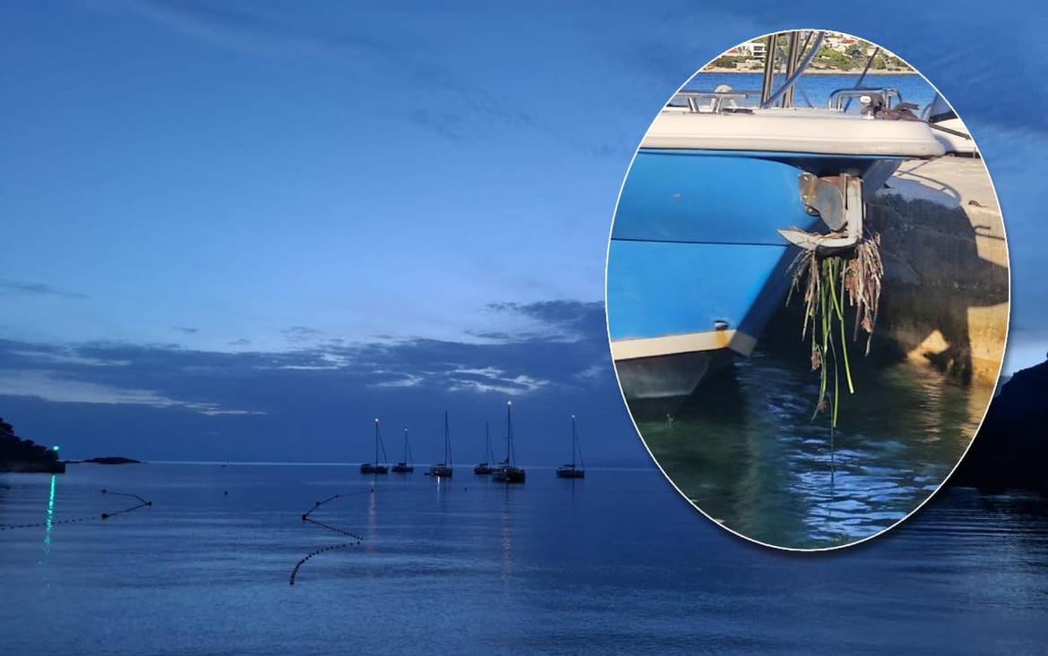 Građani u Dalmaciji zabrinuti: "Nautičari se sidre posvuda i čupaju posidoniju" - Evo zašto bi nas ovo trebalo zabrinuti!