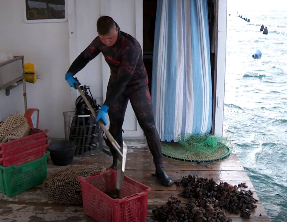Romano je mlada nada šibenskog školjkarstva