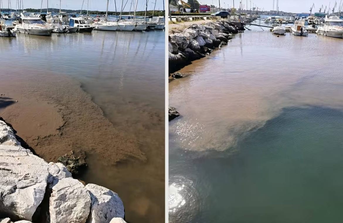 ZAGAĐENJE MORA Blato u pulskoj lučici Mandrač - Ima ga stvarno puno!
