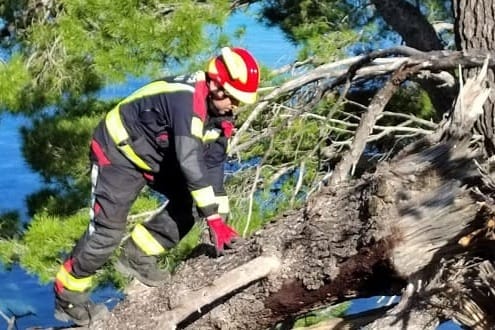 Bura na Braču iščupala bor - ozlijeđen prolaznik!