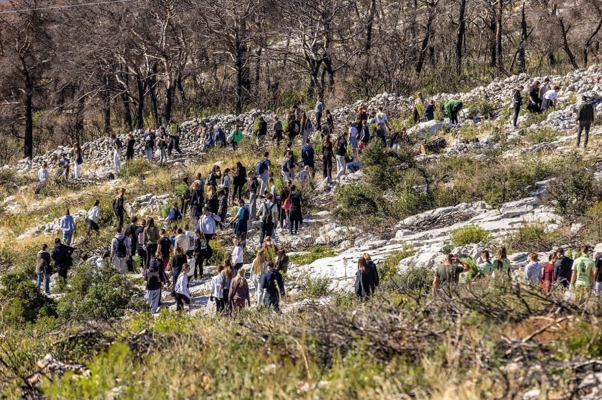 350 volontera pošumljavalo požarište na Šubićevcu u Šibeniku