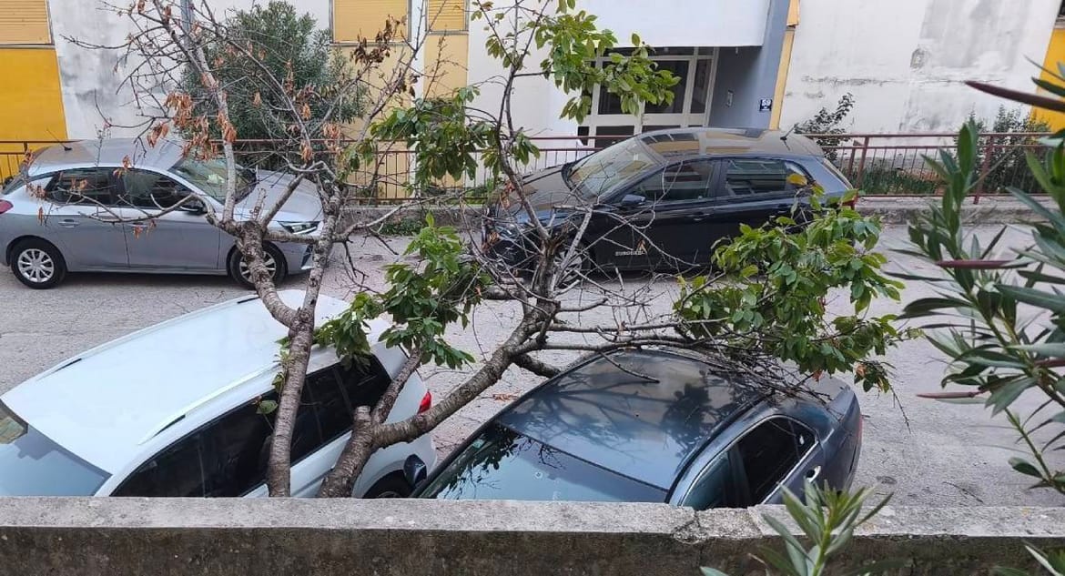 Bura u Šibeniku odlomila stablo koje je palo na automobile