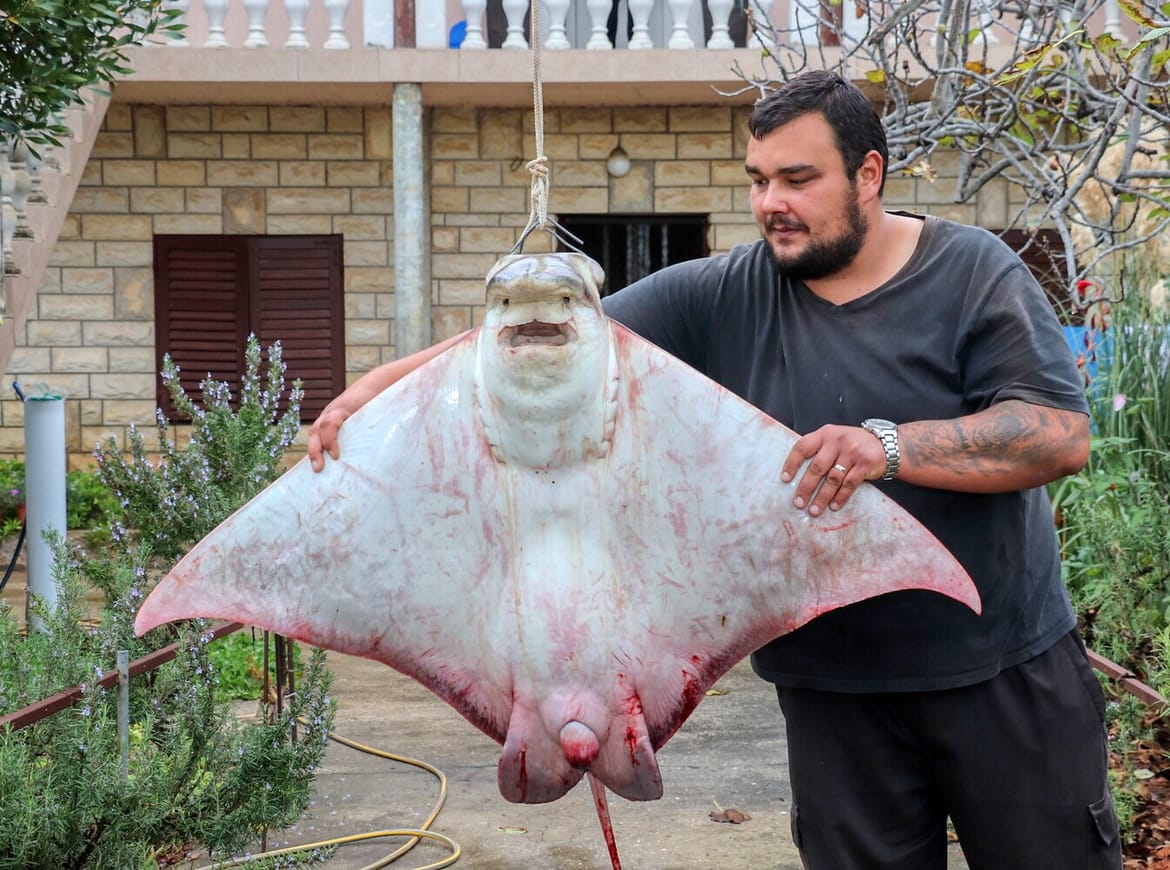 Šime s Vira ulovio goluba ćukana od 40 kilograma: "Mislio sam da ću potonuti"