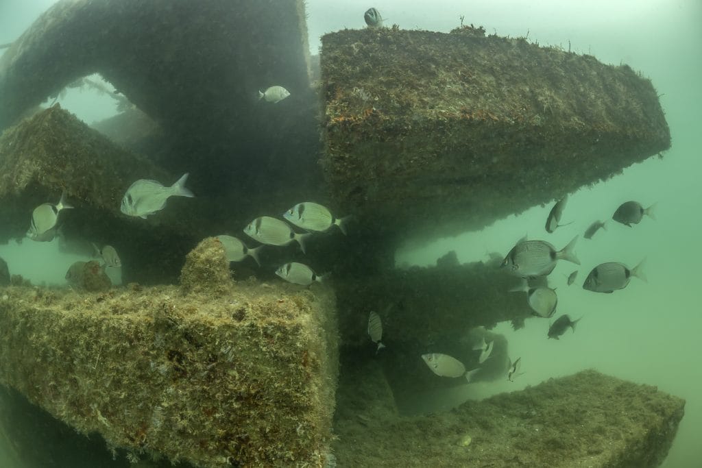 ČUVA RIBE OD PREDATORA Podvodna struktura u sklopu projekta održive akvakulture u Savudrijskoj vali