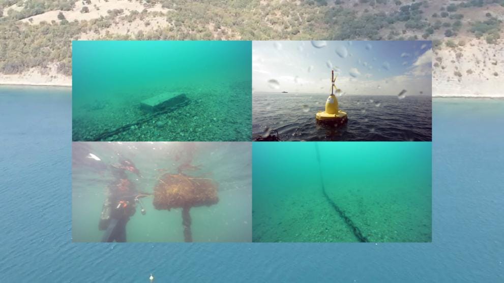 EPPO upao na uzgajalište koje financira EU i otkrili prijevaru - Umjesto dagnji ugledali pijesak!