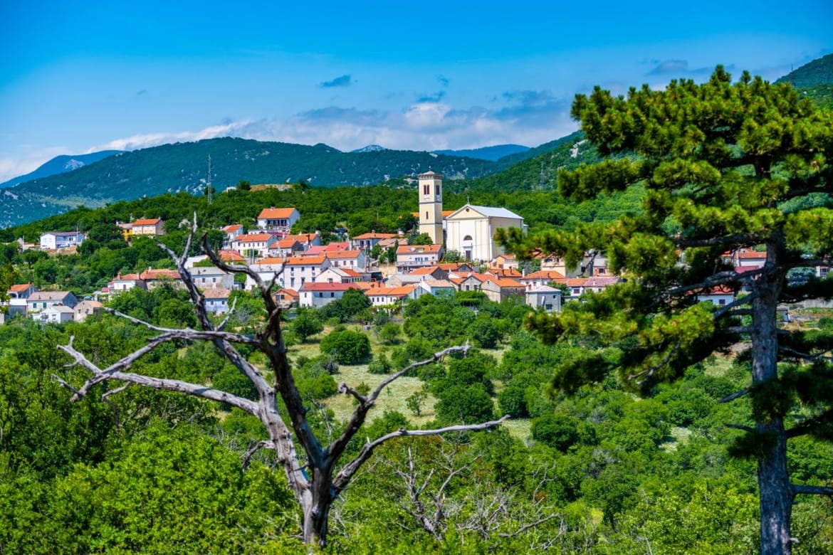 Zanimljiv vikend pred nama za avanturiste, ljubitelje prirode i psića
