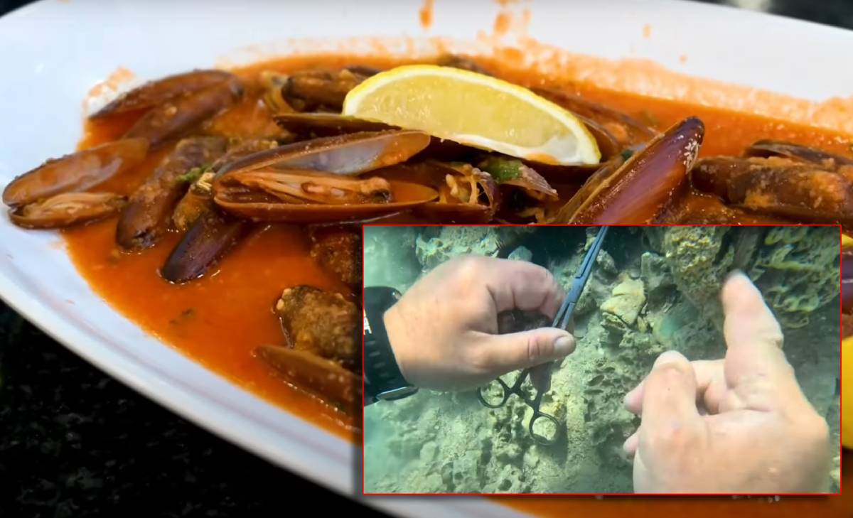 NEUMSKI ZAKON Međunarodni tim novinara zajedno s Morskim HR razotkrio nezasitan apetit za prstacima koji su i tamo jednako zabranjeni kao i u Hrvatskoj!