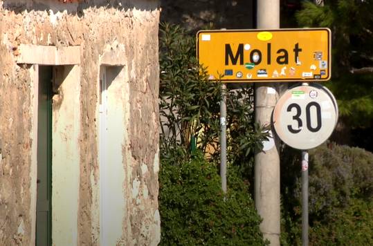 Na Molatu ima tri puta više divljih svinja nego stanovnika otoka