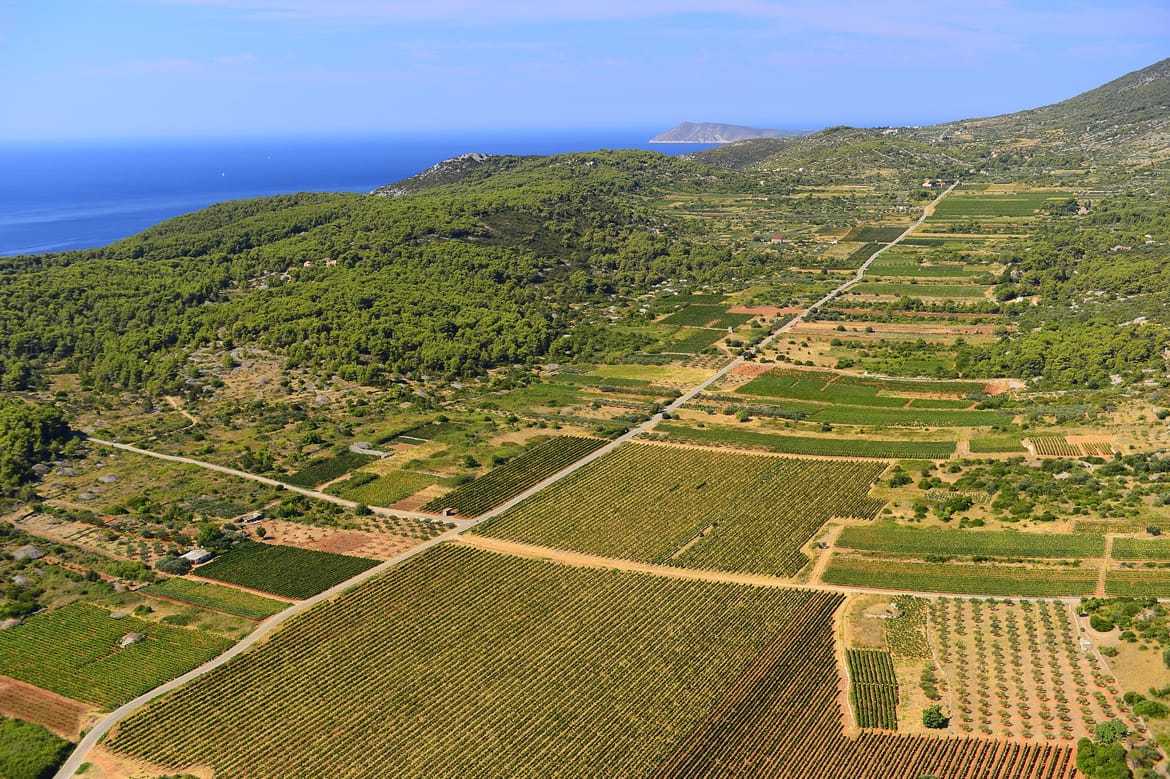 Kušanje mladih vina i okrugli stol na Visu