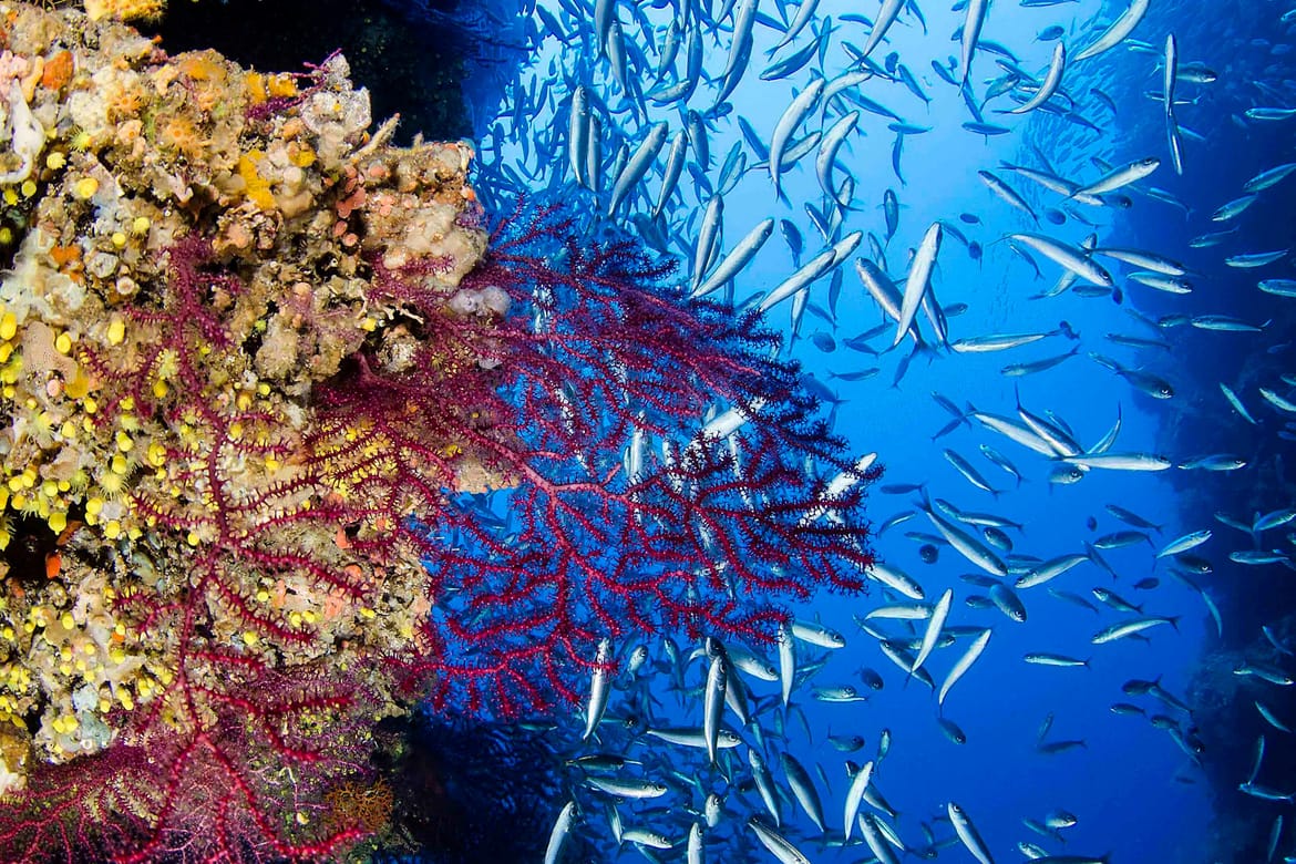 More pod budnim okom satelita - ne propustite online događaj mjeseca!