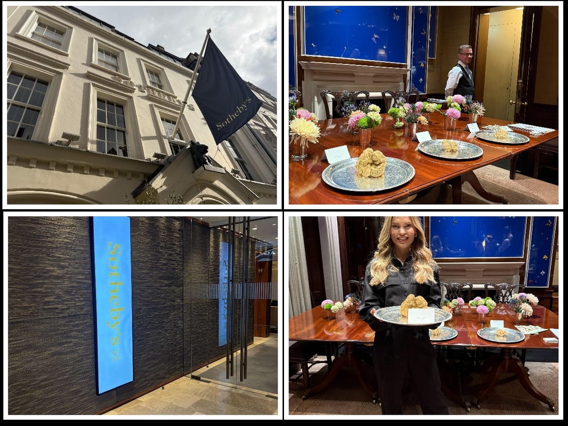 Aukcija istarskih tartufa u Londonu