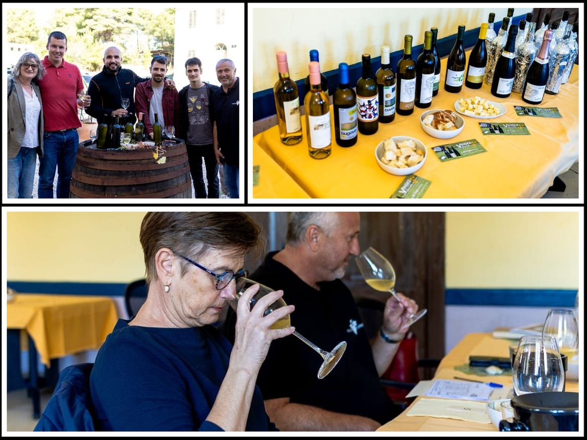 Bugava jučer, danas, sutra – kušanje mladih vina na Visu i pogled u budućnost