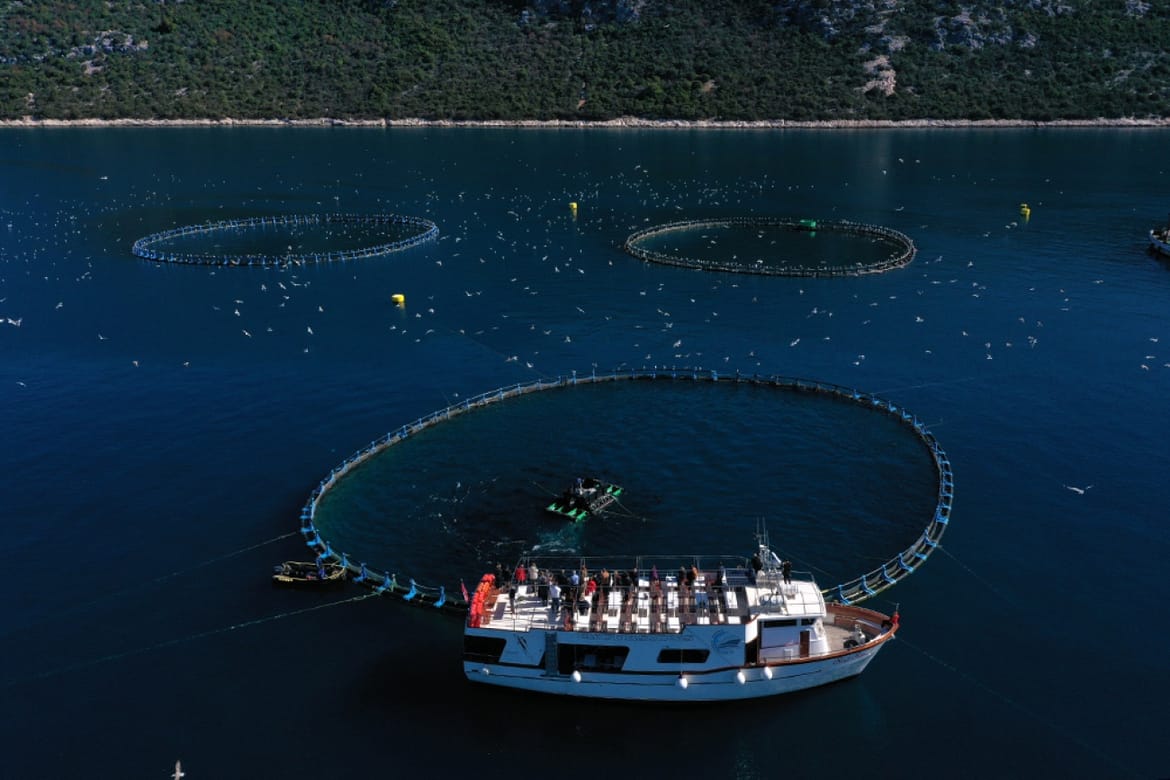 Zadarska županija ruši rekorde: U listopadu preko 68 tisuća zaposlenih, rast od 40 posto u deset godina