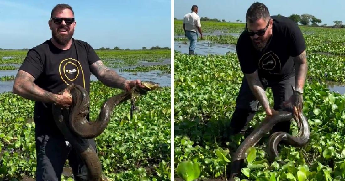 WWF - Adria raskinuo suradnju s influencerom: "Uznemiravao je anakodnu i mravojeda" Influencer: "To nije nikakavo mučenje!"