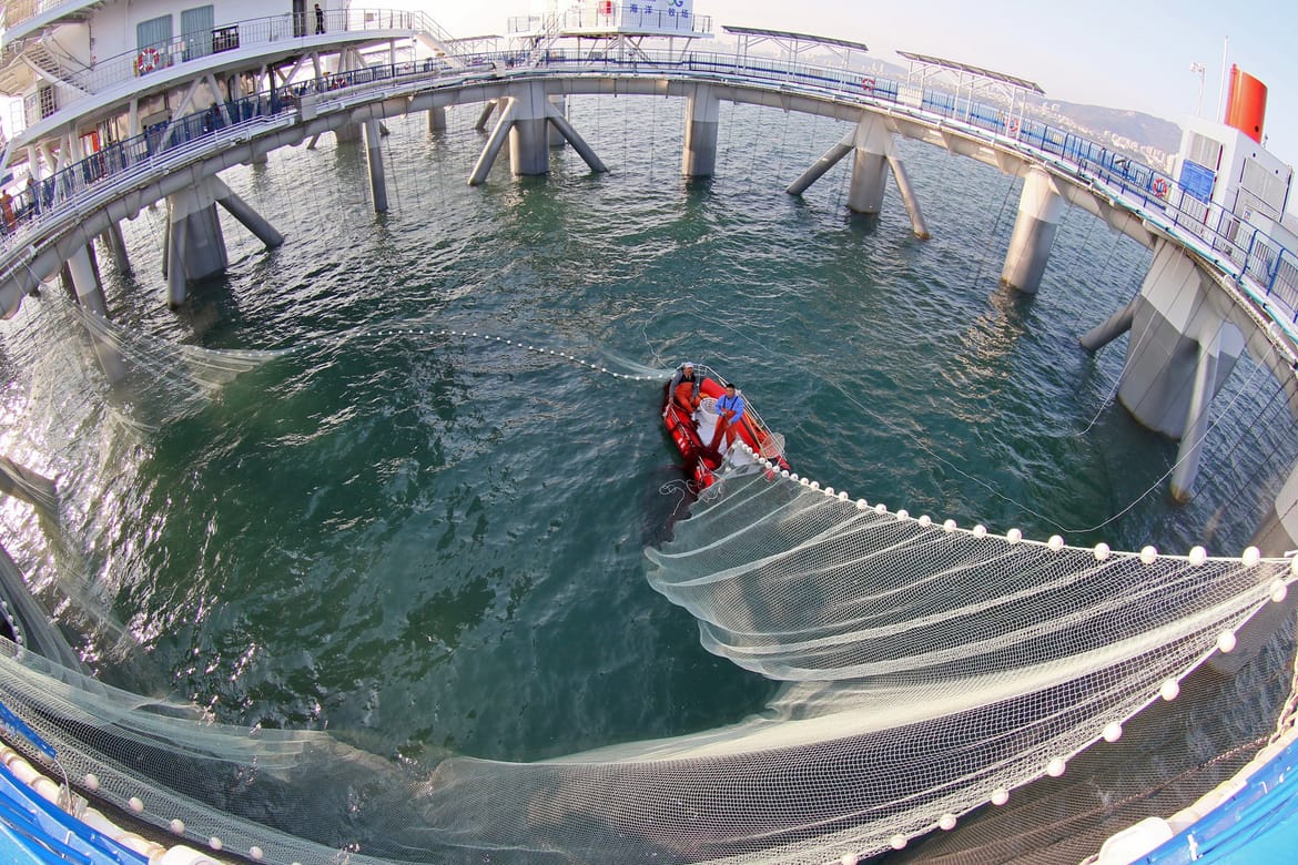 ATRAKTIVNA AKVAKULTURA Ovdje se uzgajaju ribe i škampi, ali je i pravi turistički mamac