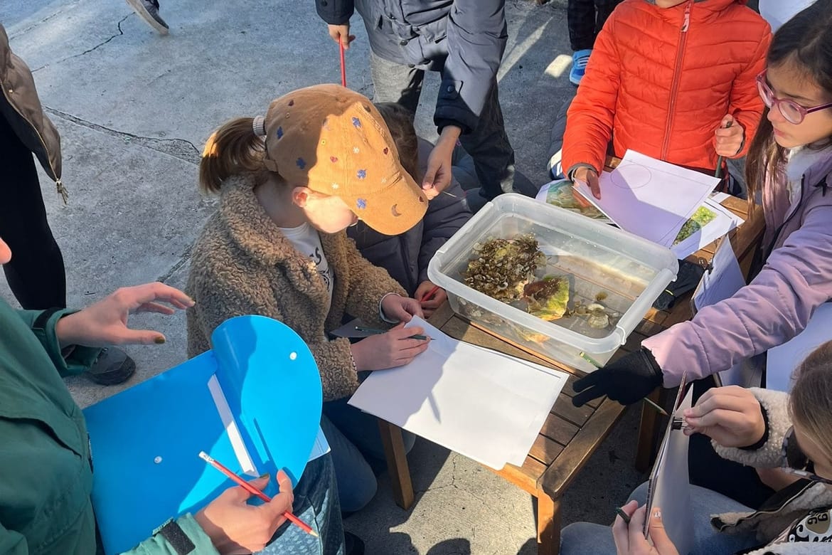 MORSKI LABORATORIJ Morski dan s MorLabom u Rogoznici