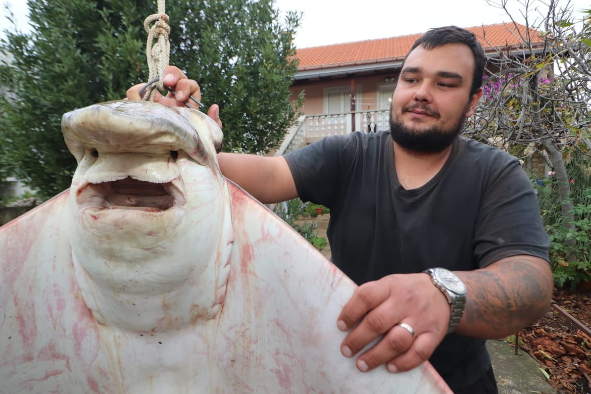 Ministarstvo potvrdilo: "Pokrenut će se prekršajni postupak protiv ribara s Vira koji je ulovio goluba ćukana!"