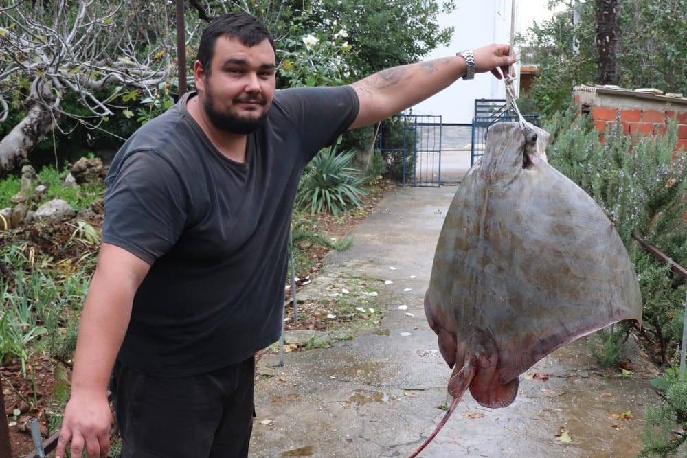 NAKON BROJNIH KRITIKA GRAĐANA Glasnogovornik Ministarstva ribarstva potvrdio za Morski: "Ribar s Vira nije smio zadržati goluba ćukana, to je ugrožena vrsta!"