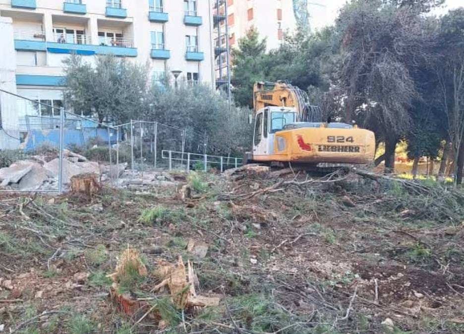 Možemo! Pula poručuje Gradu: "Nije u redu rušiti stabla da bi se uredio park!"
