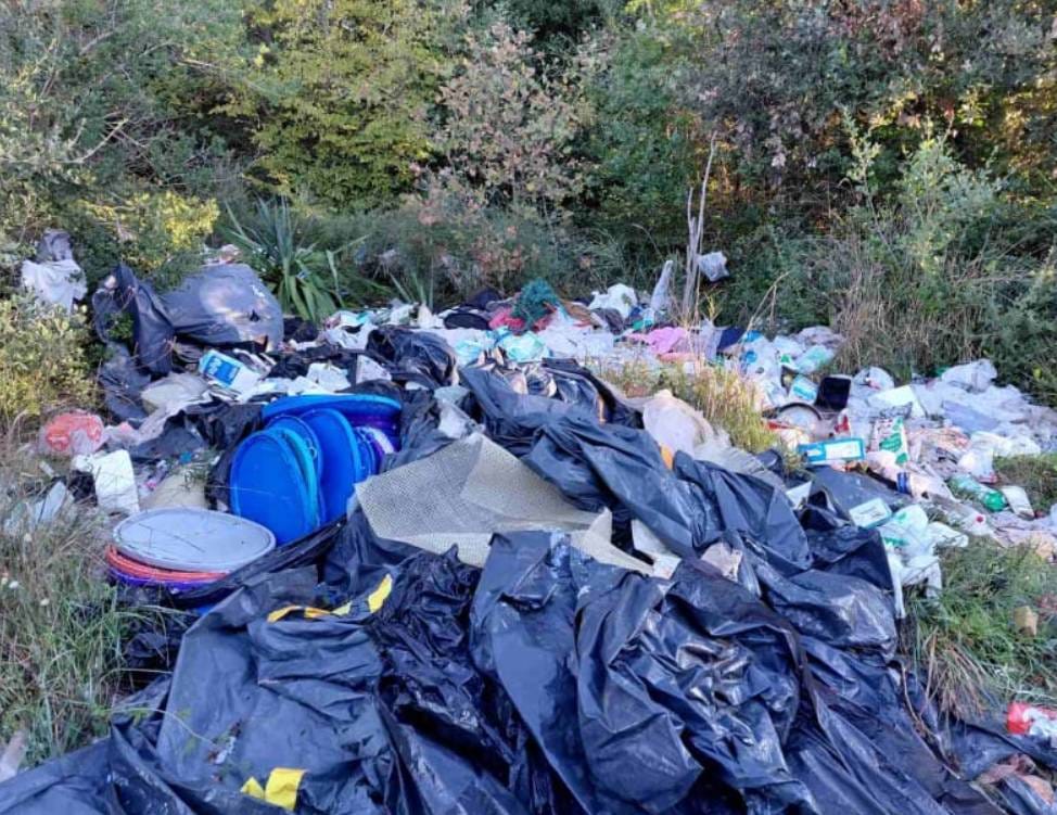 Akcija čišćenja uz Labinsku cestu