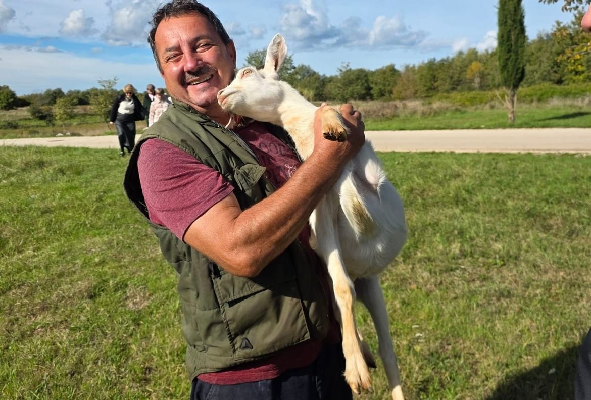 Poreč čuva autohtone pasmine koza kroz projekt „Naša istarska koza"