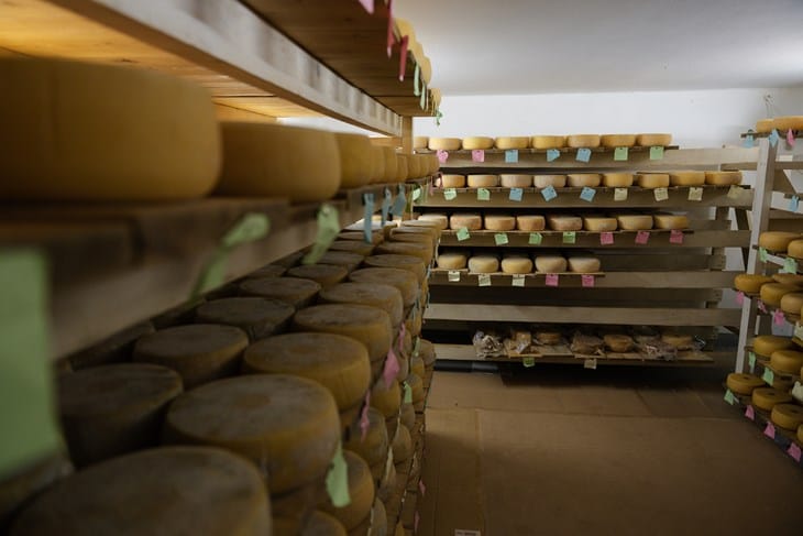 U CIJELOJ EU Zaštićen istarski ovčji sir, slijede li kobasice, tartufi i rakija?