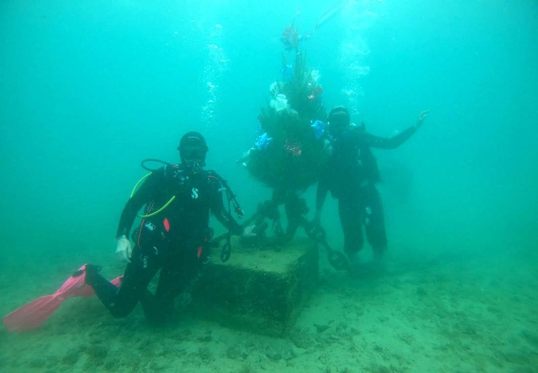 Splićani polažu 30. jubilarni put božićni bor pod more u humanitarne svrhe