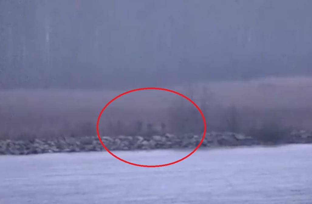 ZALUTALI RUSI Estonija: "Tri ruska policajca kratko su ušla u našu zemlju, stigli su brodom, postoji i video