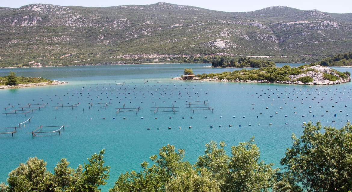 NERED U STONU Gradi se bespravno. Načelnik: "Nismo mi jedini, cijela obala je puna" Komunalni redar: "Nema građevinskih inspektora"
