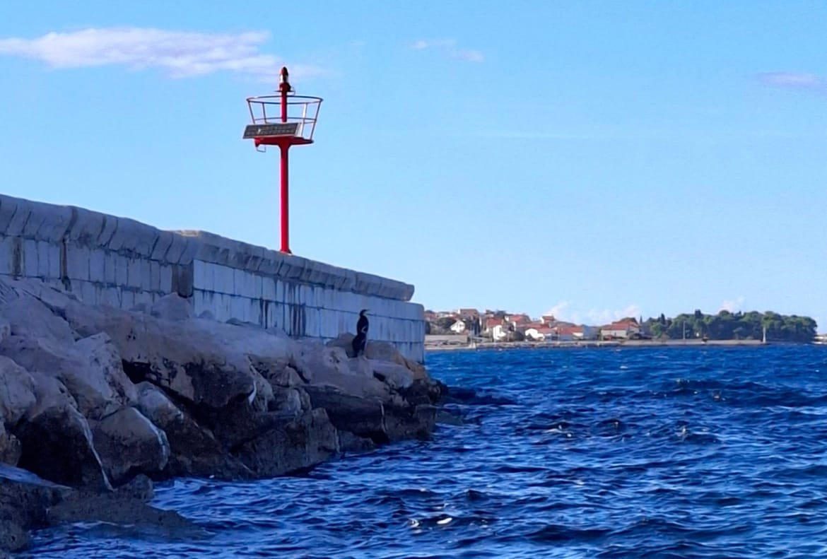 Otočanin u ulici Otočka cesta na jednom zadarskom otoku radio što nikako nije smio!