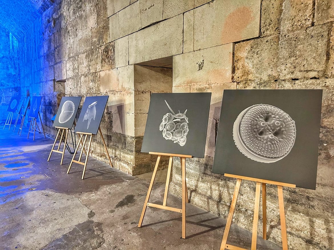 SPLIT "Znanost je došla u grad" - fantastičan događaj u Dioklecijanovoj palači još stignete "uloviti"