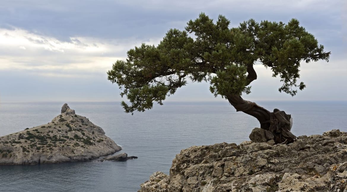 Razmjerno topao četvrtak, južina, samo rijetko i malo kiše