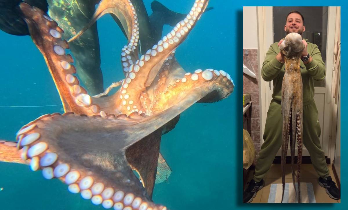 VIDEO Splićanin uhvatio krakena kod Hvara: "Borba je trajala 20 minuta, velika je gotovo kao i ja!"